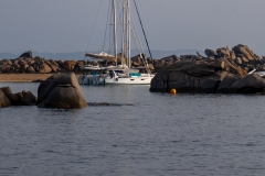 Corse; îles Lavezzi