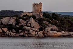 p1290530