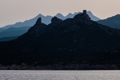 p1290548