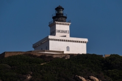 p1290599