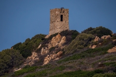 p1290601