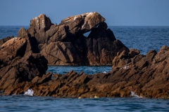 p1290606