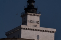 p1290614