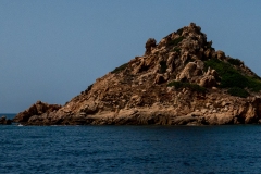 p1290617