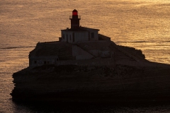 p1290641