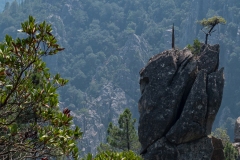 p1290929