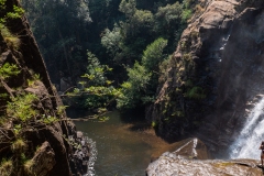 p1290955