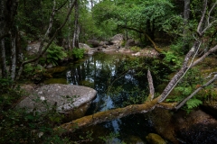 p1291120