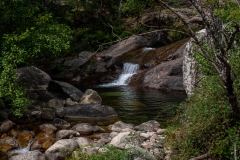 p1291136