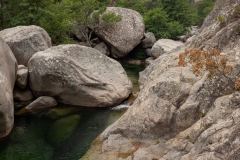 p1291141