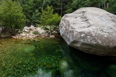 p1291150