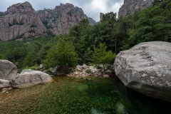 p1291153