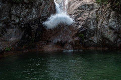 p1291162