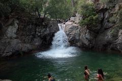 p1291172