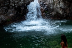 p1291235