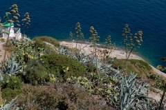 p1291439