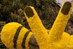 La Fête des Jonquilles - Saint-Étienne-de-Montluc 