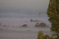 190d46e9-ee95-4e55-9e8c-c85df1171bfa_1_105_c