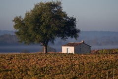 48f7d41a-7dd0-4692-810c-2e50e1b777a2_1_201_a