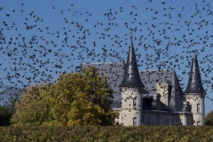 581eb522-885b-4a9c-9d91-75cac69664cc_1_201_a