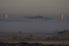 6a9b3c8a-8391-4e94-9a95-1538835cd5c2_1_201_a