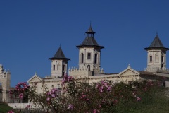 72873e0d-cf4e-4157-b088-b31d1064fde9_1_201_a