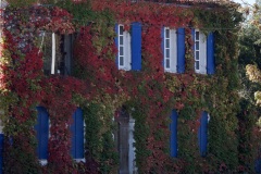 8930e09e-fe9e-4eae-b0a7-7b4a01079536_1_201_a