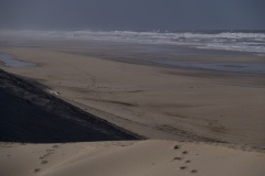 9d35393d-4bb2-4e8a-9513-ae5e1d30a199_1_201_a