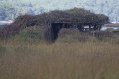 a9462bf4-f28e-452b-be95-e18c69057a58_1_201_a