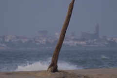 ae9b928d-13bc-447d-b812-f9f2ebdac6f6_1_201_a