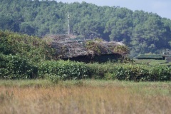 b80c9328-ac42-48f0-b5de-e2fea3c21ce6_1_201_a