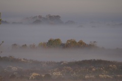 bdde3cb3-8f9c-414c-a686-1c8442635b95_1_105_c