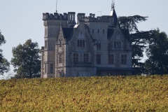 cf24067b-9003-43bc-8d7b-d60e0d03d46c_1_201_a