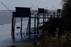 d7975b6a-cda1-497b-ad4f-44f1bca7f054_1_201_a