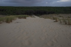 e8d60c8a-34ab-4a2d-8e0e-16a00369f826_1_201_a