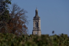 f1157f5e-fa6c-49a9-a58b-0926088ed5ee_1_201_a