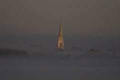 f29a9a98-e0d8-44a3-b81c-d16dc128bd77_1_201_a