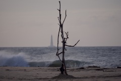 f71164bd-936a-4445-8f41-b6b9884cb870_1_201_a