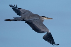 p1357567