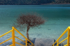 p1380429