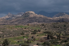 p1391062