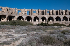 p1391231