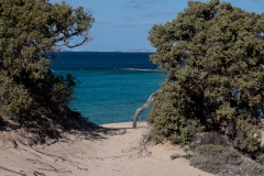 p1391248