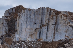 p1391352