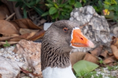 p1391393
