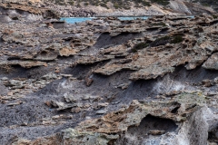 p1391431