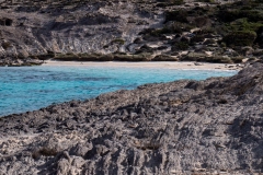 p1391453