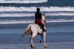 La Vendée 