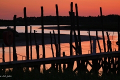 45bf08bc-1006-4ab5-9baa-ece0bc4d55a4_1_105_c