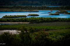 dd76a157-4ef6-4936-bf20-5b466cecabbc_1_105_c